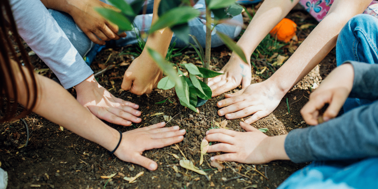 5 Charter Schools Making Every Day Earth Day